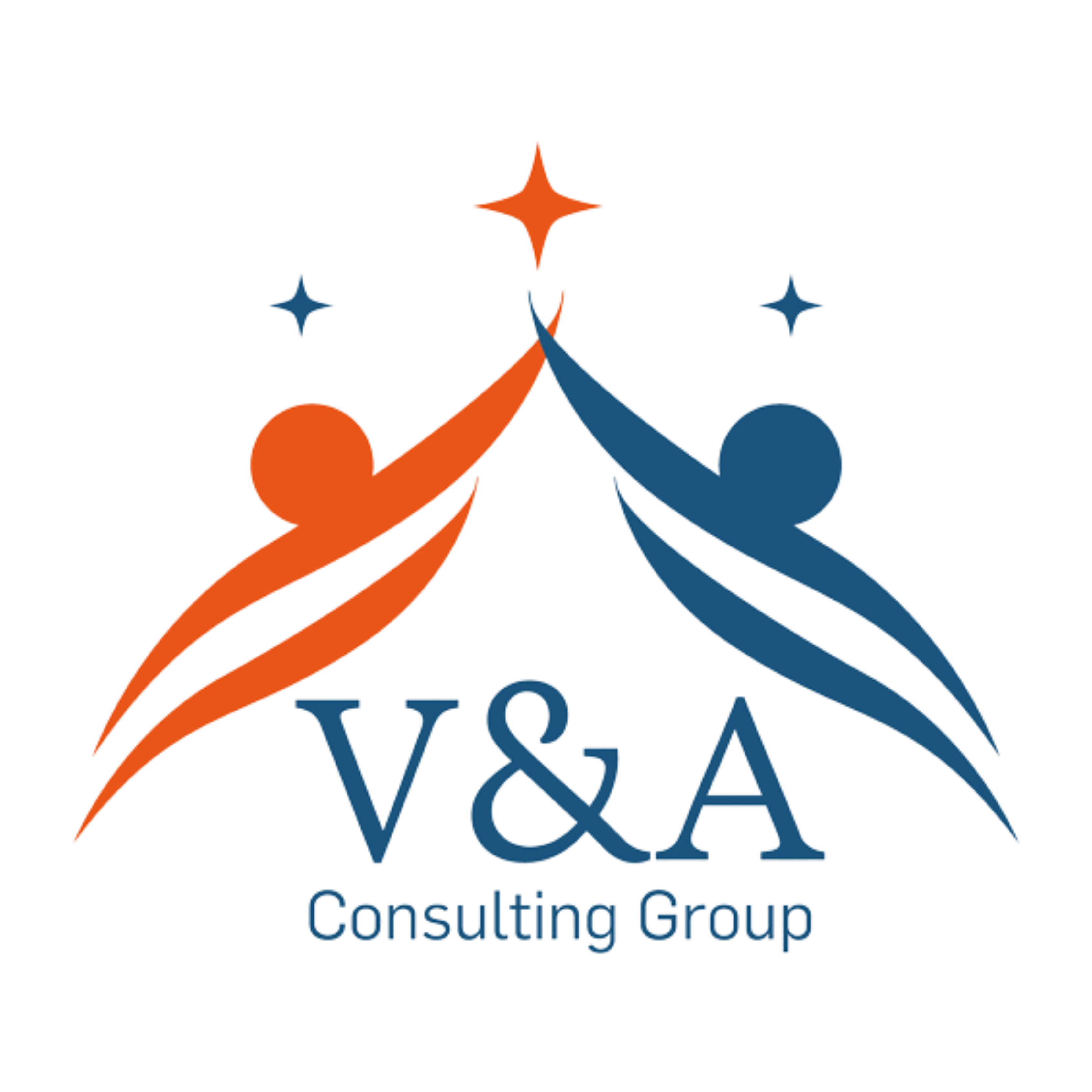 VYA Consulting